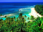 Summer wallpapers64